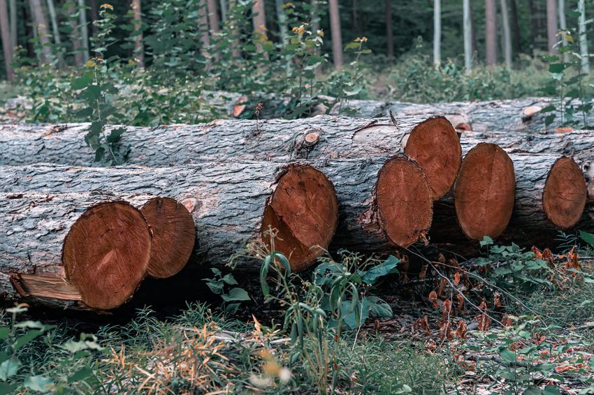 materiali naturali
