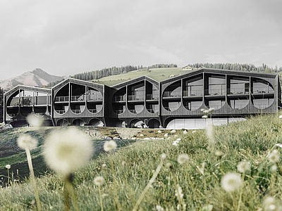 Hotel Milla Montis