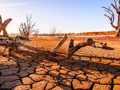 Precipitazioni ai minimi storici, bisogna intervenire