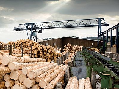 Crescita record delle tecnologie per il legno