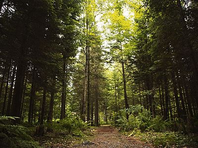 Superato il traguardo delle 1.000 aziende certificate PEFC