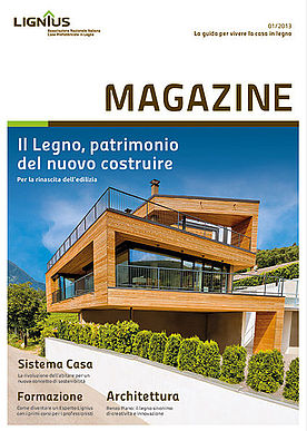 Lignius Magazine 2013