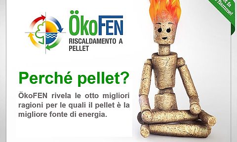 Perché pellet? ÖkoFEN rivela le 8 migliori ragioni.