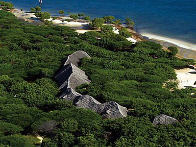 Una casa nella foresta sull'isola di Lamu