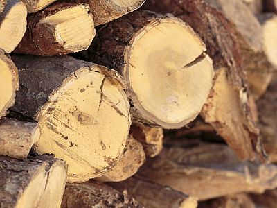 Crescono le imprese del legno certificate PEFC
