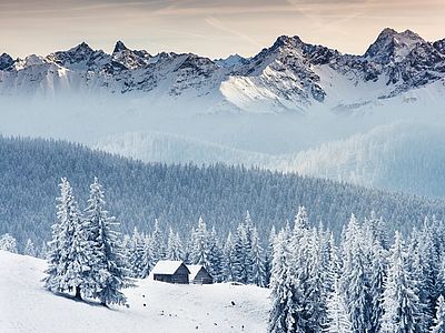 lignius, case in legno, case prefabbricate in legno, mercato immobiliare, casa vacanza, montagna