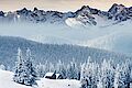lignius, case in legno, case prefabbricate in legno, mercato immobiliare, casa vacanza, montagna