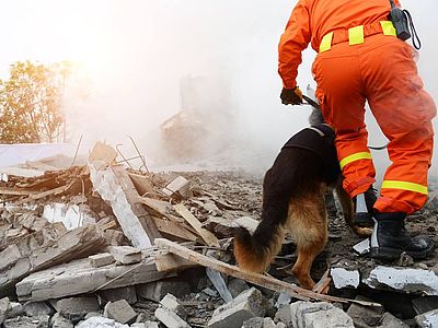 Case in legno, case prefabbricate in legno, lignius, terremoto, sisma, ricostruzione, umbria