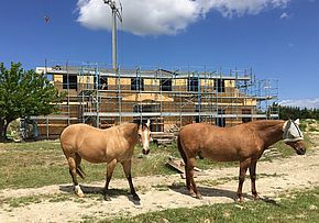 Centrolegno - OPERA HORSES HOUSE