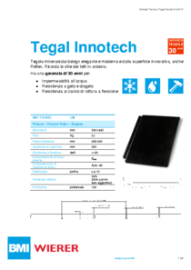BMIWR ST v3 Tegal Innotech