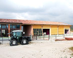 Case in Legno - Cantina vinicola [1512]