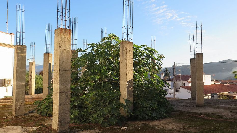 lignius, case in legno, case prefabbricate in legno, abusivismo, ecomafia, cresme, legambiente