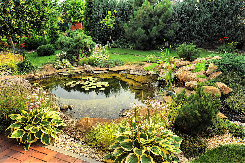 giardino con stagno giardino con stagno