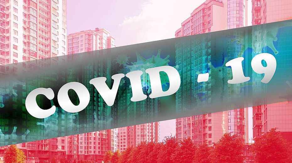 lignius, case in legno, case prefabbricate in legno, mercato immobiliare, residenziale