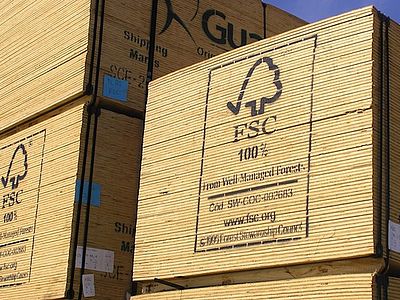 La certificazione FSC sul legno