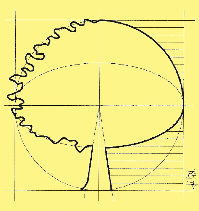 Paolo Erbi ingegnere - Studio Tecnico